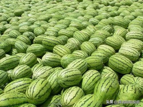 熱門(mén)大瓜每日必吃大瓜合集,揭秘娛樂(lè)圈最新動(dòng)態(tài)，一網(wǎng)打盡娛樂(lè)圈風(fēng)云