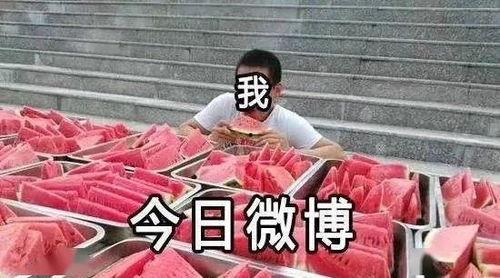 全民吃瓜,揭秘娛樂圈幕后故事