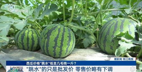 熱門大瓜top10,揭秘娛樂圈風(fēng)云變幻