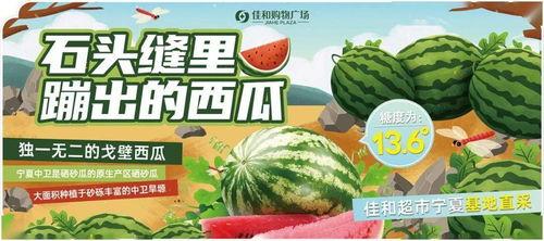 51熱門大瓜今日大瓜最新,今日大瓜新鮮出爐，揭秘娛樂圈最新熱點(diǎn)！